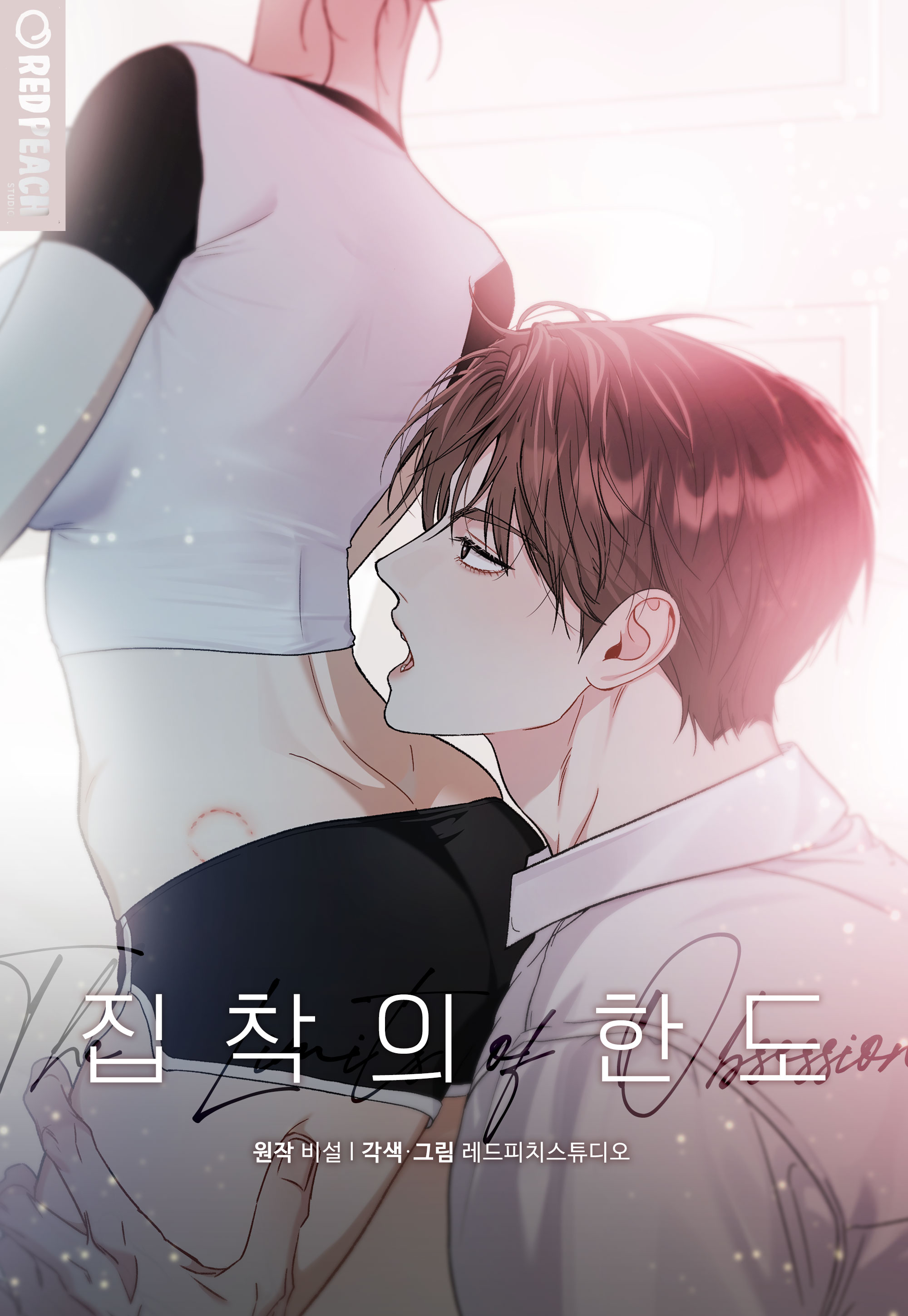 집착의 한도표지 이미지